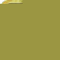 盛世遮天 果盘版最新版