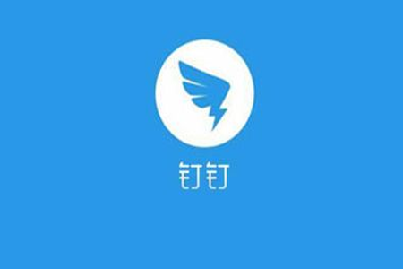 钉钉怎么设置全屏语音？设置全屏语音的方法说明