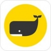 职点迷津APP