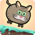 快乐的肥猫APP