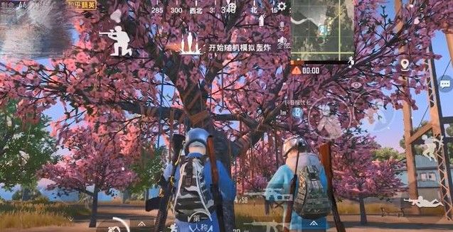 和平精英樱花树在哪里？樱花树玩法介绍