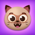 Knotty Cats