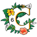 涂色小画家APP