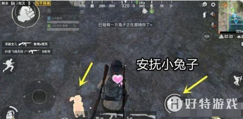和平精英兔子在哪里-兔子刷新位置详解