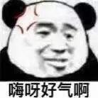 要你管表情包大全 抖音要你管表情图片分享