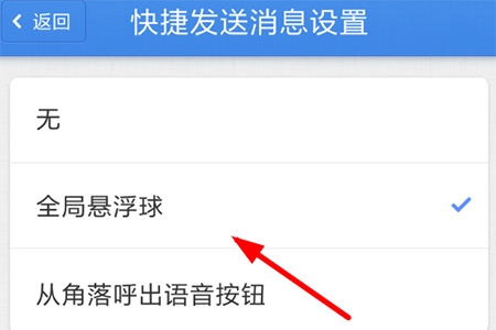 在其中点击并勾选“全局悬浮球”这个选项