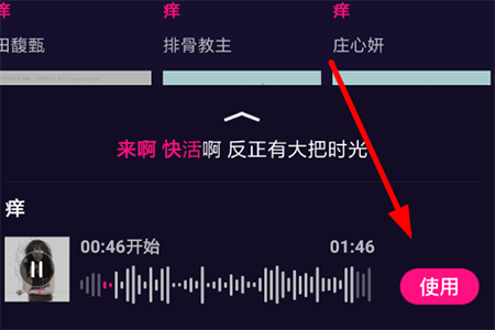 点击右下方的“使用”选项