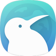 kiwi浏览器app