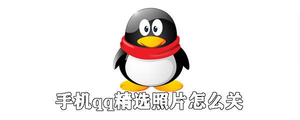 手机qq怎么关闭精选照片 关闭精选照片步骤分享
