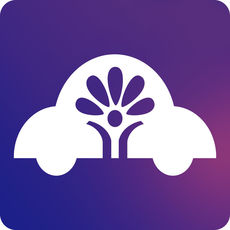 聚元好车app