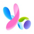 yoyo爱车app