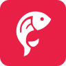 分点点app