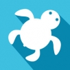 海龟出行app