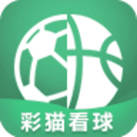 彩猫看球