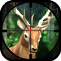 狩猎驼鹿app