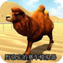 野骆驼的赛车模拟器