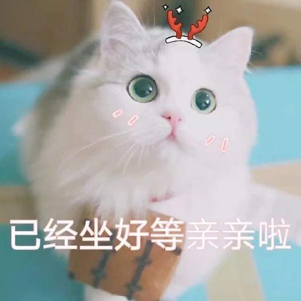 七夕撒娇专用表情包