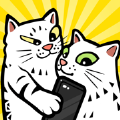网红公司app