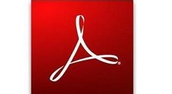 Adobe Reader XI怎么将页面单位更改为英寸？页面单位更改为英寸方法介绍