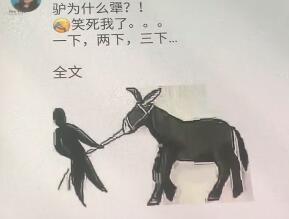 驴为什么犟图片 朋友圈驴为什么这么犟搞笑图