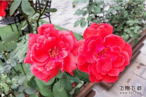 华为麦芒7拍照效果实用评测_52z.com