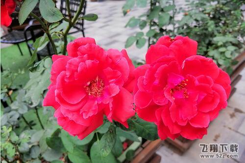 华为麦芒7拍照效果实用评测_52z.com