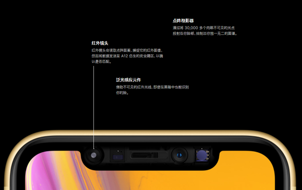 iefans网