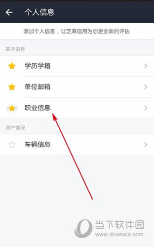 点击“职业信息”选项