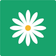 好彩色画廊app