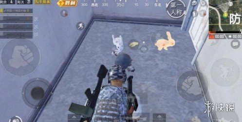 和平精英白兔子和金兔子哪个好？白兔子和金兔子区别分析