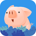 捉小猪app