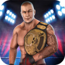 摔跤战士战斗app