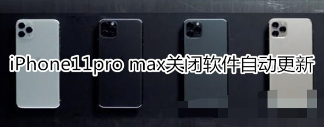 iPhone11pro max软件自动更新关闭方法一览