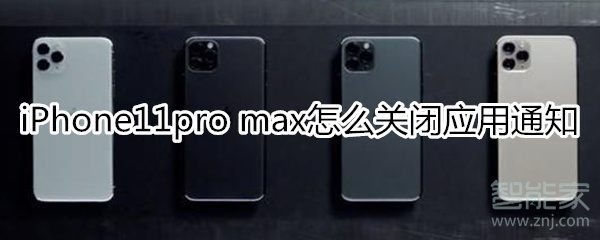 iPhone11pro max应用通知如何关闭