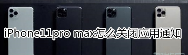 iPhone11pro max应用通知如何关闭