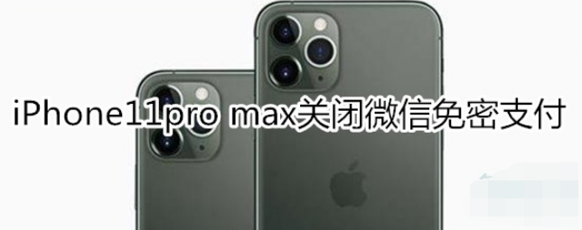 iPhone11pro max微信免密支付怎么关闭