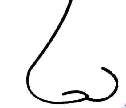 qq画图红包鼻子怎么画？QQ画图红包所有图案画法汇总