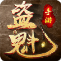 盗魁app