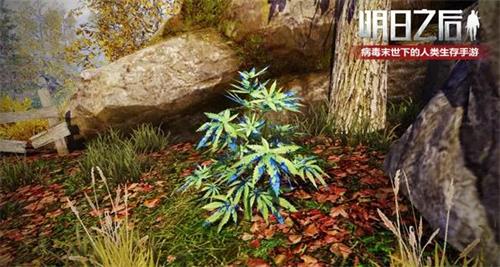 明日之后无畏征途奖励全览