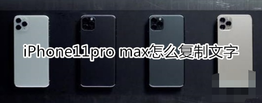 iPhone11pro max如何复制文字