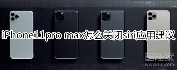 iPhone11pro max怎如何关闭siri应用建议？
