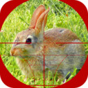 猎兔狙击手最新版