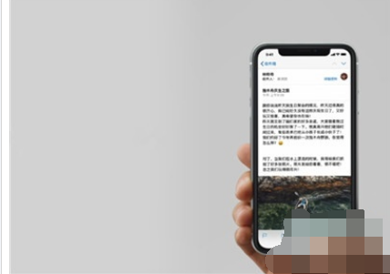 iphone11pro主屏幕怎么返回？