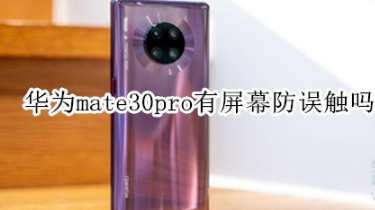 华为mate30pro有没有屏幕防误触