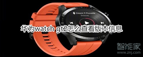 华为watch gt2版本信息在哪看？