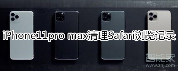 iPhone11pro max清理Safari浏览记录教程