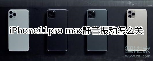 iPhone11pro max静音了还是振动解决办法分享