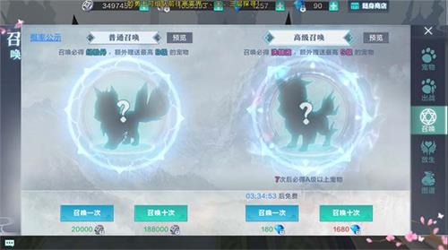 雪鹰领主3D手游宠物是什么？
