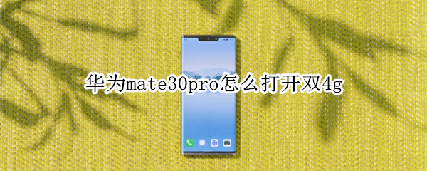 华为mate30pro如何打开双4g？