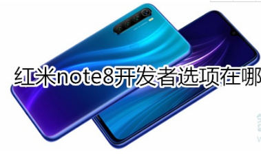 红米note8开发者选项在什么位置